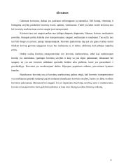 Tara ir krovinių markiravimas 9 puslapis