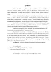 Tarpkultūrinė komunikacija 2 puslapis