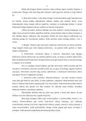 Tarpkultūrinė komunikacija 4 puslapis