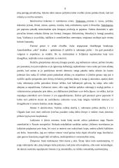 Tarpkultūrinė komunikacija 7 puslapis