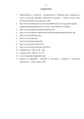 Tarptautinė darbo organizacija (TDO) 17 puslapis