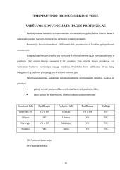 Tarptautinė oro vežėjų asociacija (IATA) 15 puslapis