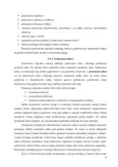 Tarptautinė paskirstymo logistika 13 puslapis