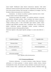 Tarptautinė paskirstymo logistika 14 puslapis