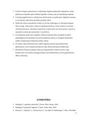 Tarptautinė paskirstymo logistika 17 puslapis