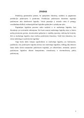 Tarptautinė paskirstymo logistika 3 puslapis