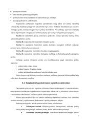 Tarptautinė paskirstymo logistika 7 puslapis