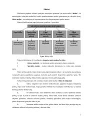 Tarptautinė prekyba pasaulyje ir Lietuvoje 7 puslapis