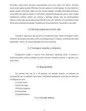 Tarptautinė vadyba 8 puslapis