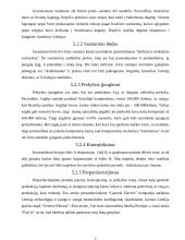 Tarptautinė vadyba 9 puslapis