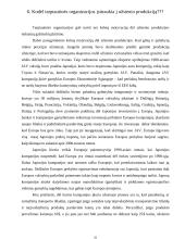 Tarptautinė vadyba 10 puslapis