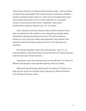 Tarptautinė valiutų sistema 3 puslapis