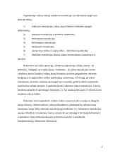 Tarptautinė valiutų sistema 4 puslapis