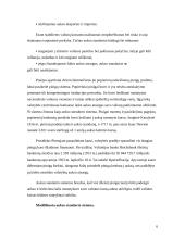 Tarptautinė valiutų sistema 6 puslapis