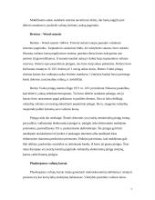 Tarptautinė valiutų sistema 7 puslapis