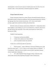 Tarptautinė valiutų sistema 9 puslapis