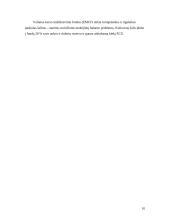 Tarptautinė valiutų sistema 10 puslapis