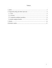 Tarptautinės pinigų pervedimo operacijos 2 puslapis