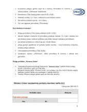 Tarptautinės pinigų pervedimo operacijos 11 puslapis