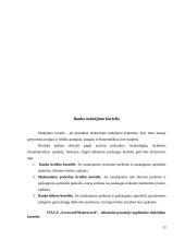 Tarptautinės pinigų pervedimo operacijos 13 puslapis