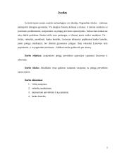 Tarptautinės pinigų pervedimo operacijos 3 puslapis