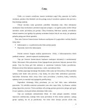 Tarptautinės pinigų pervedimo operacijos 4 puslapis