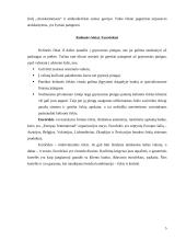 Tarptautinės pinigų pervedimo operacijos 5 puslapis