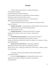 Tarptautinės pinigų pervedimo operacijos 6 puslapis