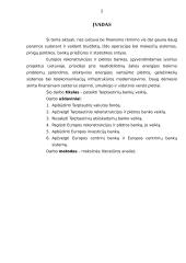 Tarptautiniai bankai 2 puslapis