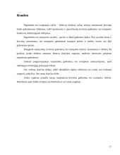 Tarptautiniai krovinių gabenimai oro transportu 17 puslapis