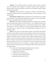 Tarptautiniai krovinių gabenimai oro transportu 6 puslapis