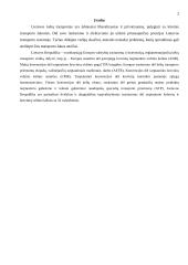 Tarptautiniai pervežimai 2 puslapis