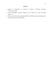 Tarptautiniai pervežimai 13 puslapis