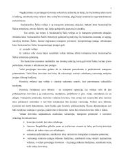 Tarptautiniai pervežimai 7 puslapis