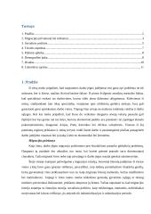 Tarptautinio darbo jėgos judėjimo įtaka Lietuvai 2 puslapis