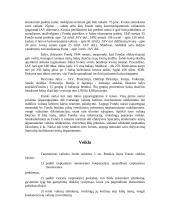 Tarptautinis valiutos fondas (TVF) - istorija, struktūra bei veikla 3 puslapis