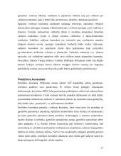 Tarptautinių investicijų reikšmė ir tendencijos pasaulio ekonomikoje 18 puslapis