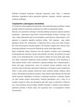 Tarptautinių investicijų reikšmė ir tendencijos pasaulio ekonomikoje 19 puslapis