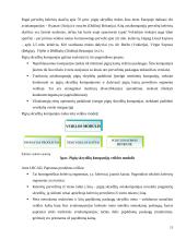 Tarptautinių pigių ir krovininių skrydžių analizė 11 puslapis