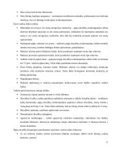 Tarptautinių pigių ir krovininių skrydžių analizė 12 puslapis