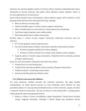 Tarptautinių pigių ir krovininių skrydžių analizė 20 puslapis