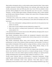 Tarptautinių pigių ir krovininių skrydžių analizė 6 puslapis