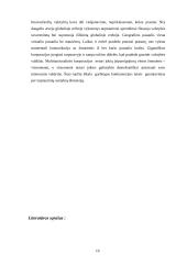 Tarptautinių santykių pokyčiai globalizacijos procese 9 puslapis