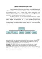 Taršos įtaka žmogui 3 puslapis