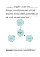 Taršos įtaka žmogui 4 puslapis