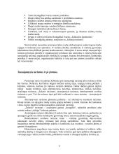 Tausojantysis turizmas 6 puslapis