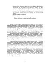 Tausojantysis turizmas 7 puslapis