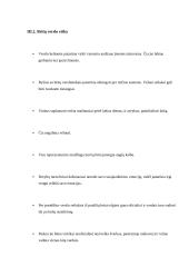 Tautinių bruožų analizė: japonai, prancūzai, britai. 15 puslapis