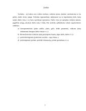 Technikos ergonominiai rodikliai 3 puslapis