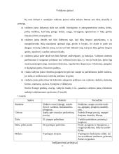 Technikos ergonominiai rodikliai 4 puslapis